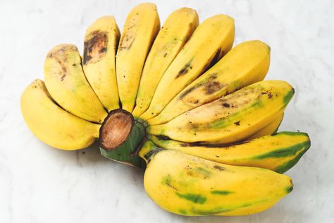 Saba Banana, Banana Spring Rolls, Coconut Milk Dessert, Cooking Bananas, How To Grow Bananas, Purple Yam, Eating Bananas, Refreshing Desserts, Beef Soup