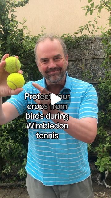 Protect Garden From Birds, Inside Gardening, Wimbledon Final, Bird Netting, Wimbledon Tennis, Garden Vegetables, Tennis Balls, How To Protect Yourself, Wimbledon