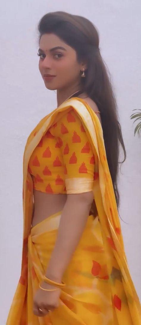 Delna Davis Saree, Delna Davis, Indian Navel, Lion Wallpaper, Serial Actress, Saree Photoshoot, Hot Images, Alan Walker, Actress Pics