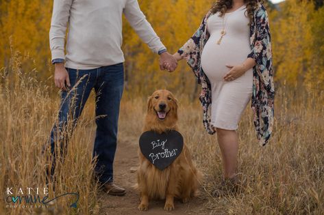 Colorado Maternity Photographers Photography by Katie Corinne Photography Amanda and Damian are expecting their first baby this year! I am so grateful that they trusted us to be their Colorado Maternity Photographers. #maternityphotographer #maternityphotos #maternityphotography #babybump #thebump #coloradosprings #coloradophotographer Cute Maternity Pictures, Maternity Photos With Dog, Maternity Shoot Dog, Pregnant Photoshoot With Dog, Couples Maternity Pictures With Dog, Dog And Human Maternity Shoot, Maternity Photography Fall, Pregnant Dog Maternity Shoot, Fall Maternity Pictures