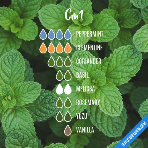 Essential Oil Cold Remedy, Essential Oils For Babies, Essential Oil Diffuser Blends Recipes, Essential Oil Remedy, Oil Remedies, Yl Essential Oils, Essential Oil Diffuser Recipes, Essential Oil Mixes, Essential Oil Blends Recipes