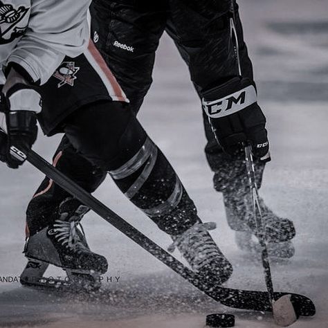 Blonde Hockey Player Aesthetic, Hockey Player Aesthetic, Ice Hockey Aesthetic, Stephanie Archer, Hockey Aesthetic, Hockey Romance, Ice Hockey Players, Icebreakers, Different Sports