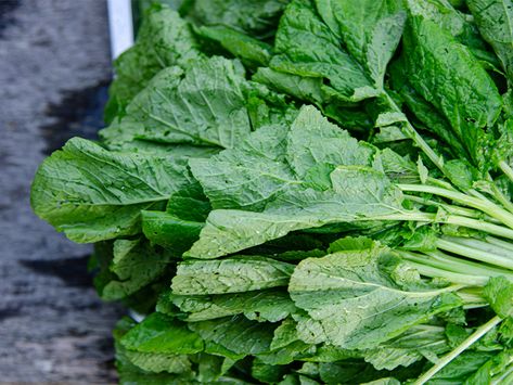 Mustard Greens: Nutrition Facts and Health Benefits How To Cook Mustard Greens, Benefits Of Yellow Mustard, Kale And Mustard Greens Recipe, Growing Mustard Greens, Pickled Mustard Greens, Chinese Mustard, Mustard Plant, Radish Greens, Pigs Eating