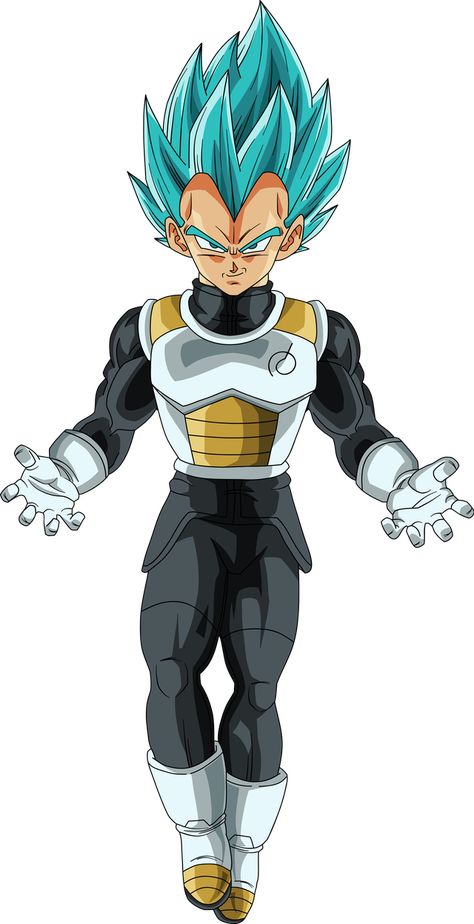 Vegeta SSGSS Render by DragonBallAffinity Dbz Vegeta, Super Broly, Dragon Z, Vegeta And Bulma, Dbz Characters, Dragonball Super, Super Saiyan Blue, Dragon Balls, Dragon Ball Super Manga