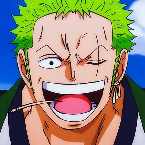 Golden Age Of Piracy, Zoro Roronoa, One Piece World, Anime Drawing Books, One Piece Wallpaper Iphone, Anime Store, Zoro One Piece, One Piece Pictures, Anime Profile