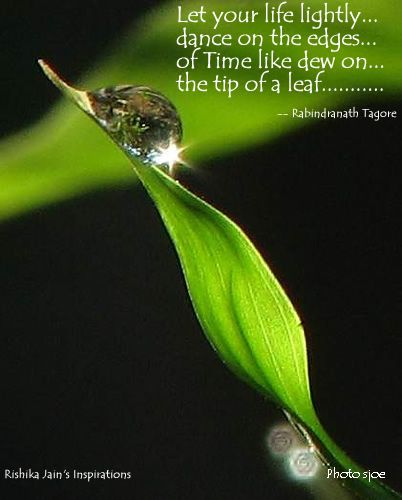 Quotes About Dew Drops Raindrops Quotes, Tagore Quotes, Dancing On The Edge, Kids Quotes, Quotes Nature, Positive Attitude Quotes, Rabindranath Tagore, Inspirational Quotes Pictures, Divine Light