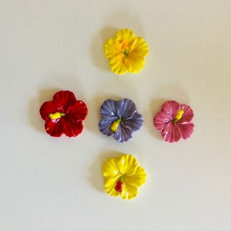 Clay Hibiscus Flower, Hawaii Flowers Drawing, Hibiscus Clay, Homemade Magnets, Mirror With Flowers, Tactile Art, Hawaii Flowers, Charm Ideas, Clay Magnets