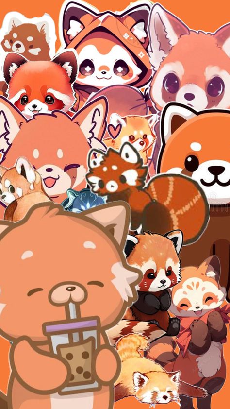 Red Panda, Orange, Red, Animals