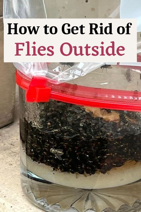 how to get rid of flies outside How To Get Rid Of Flies Outside, Diy Fly Repellent, How To Repel Flies, Diy Flies Repellent, Spider Repellant, Rid Of Flies Outside, Get Rid Of Flies Outside, Ants In Garden, Natural Spider Repellant