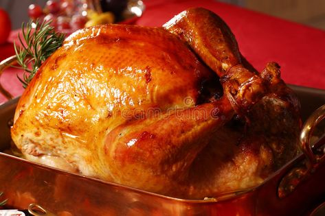 Christmas turkey. At the table , #AFF, #Christmas, #turkey, #table #ad Defrosting Turkey, Diy Cat Food, Turkey In Roaster, Butterball Turkey, Turkey Brine, Christmas Turkey, Turkey Stock, Cat Nutrition, Roasted Turkey