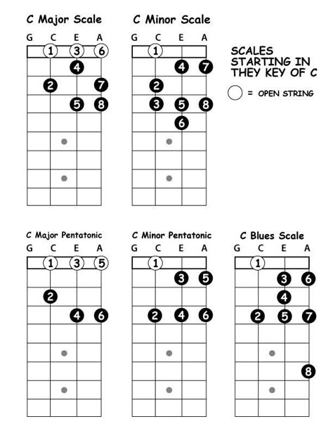 Basic scales Ukelele Lessons, Ukulele Scales, Ukulele Practice, Beginner Ukulele, Ukulele Song, Learning Ukulele, Ukulele Chords Chart, Learn Guitar Chords, Ukulele Chords Songs