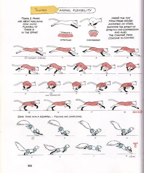 animation reference - techniques Squirrel Animation Reference, 2d Animation Frame By Frame, Cat Animation Reference, 2d Animation Reference, Tripping Drawing Reference, Animation Tutorial Frame By Frame, Squirrel Anatomy, Squirrel Animation, Squirrel Running