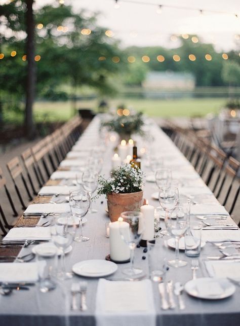 Ideas for your eco friendly wedding...all very practical and responsible...! http://gailcorcoran.realtor Potted Plant Centerpieces Wedding Round Table, Affordable Centerpiece Wedding, Houseplant Centerpiece Wedding, Herb Wedding Centerpieces, Potted Plant Centerpieces, Cheap Wedding Table Centerpieces, Simplistic Wedding, Plant Centerpieces, Eco Wedding