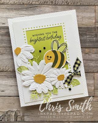 CC995 Cheerful Daisies Bee My Valentine Birthday Card Stampin Up 2024-2025 Catalog, Stampin Up 2024-2025, Spring Cards Handmade, Create Paper Flowers, Bee Birthday Cards, Cheerful Daisy, Bee Mine Valentine, Cheerful Daisies, Daisy Cards