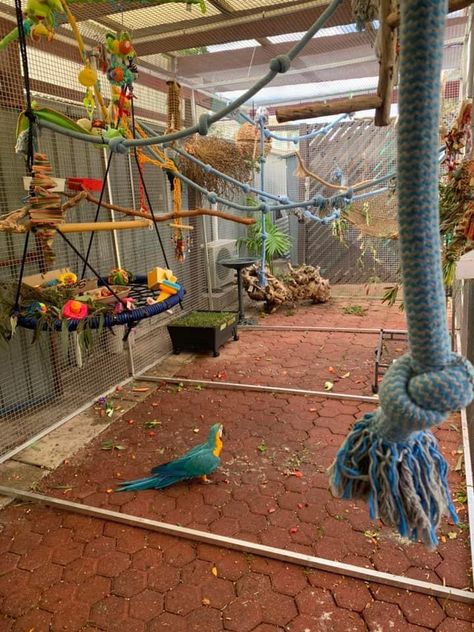 Big Parrot Cage, Bird Rooms Ideas, Cockatiel Habitat, Macaw Cage Ideas, Macaw Enclosure, Parrot Cage Setup, Indoor Bird Aviary, Parrot Enclosure, Macaw Aviary