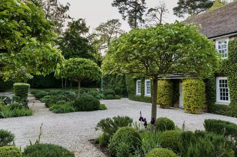 Pea Gravel Garden, Stone Pathways, Formal Garden Design, Parterre Garden, Evergreen Garden, Front Gardens, Topiary Garden, Estate Garden, Gravel Garden