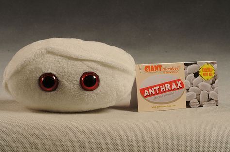 Giant Microbes plush toys Funny Plushies, Plush Microbes, Giant Microbes, Cells Project, Michael Crawford, Action Figures Collection, In Depth, Stuffed Animals, Plush Toys