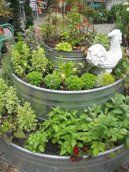 Metal Stock Tanks | 15 Tips for Growing Food in Metal Troughs AKA Stock Tanks Stock Tank Raised Bed Garden, Urban Raised Garden Beds, Stock Tanks For Gardening, Stock Tank Garden Layout, Galvanized Planters Raised Garden Beds, Raised Bed Garden Ideas Galvanized Metal, Trough Gardening Raised Beds, Stock Tank Flower Bed, Stock Tank Garden Raised Beds