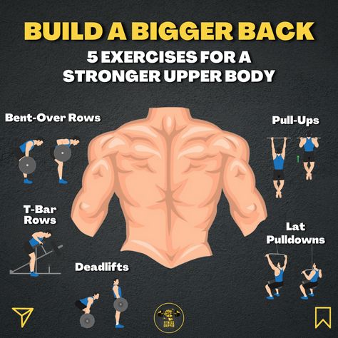 Infographic on how to build a bigger back with 5 exercises for a stronger upper body. T Bar Row, Become Stronger, Strong Back, Body Strength, Build Strength, Upper Body Strength, Back Workout, Upper Body Workout, Achieve Your Goals