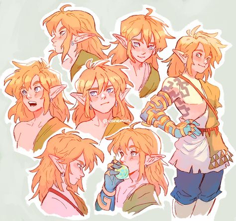 Botw Link, Link Botw, Botw Zelda, Little Misfortune, Link Art, Hyrule Warriors, Link Zelda, Zelda Art, Legend Of Zelda Breath