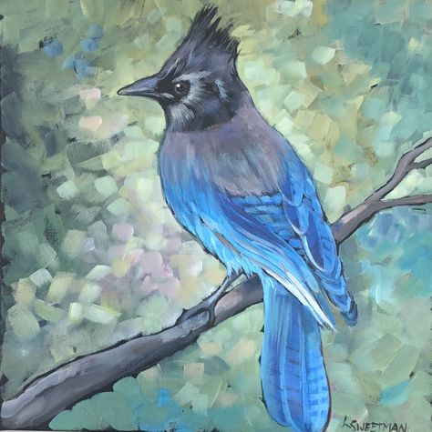 Stellar Jay Painting, Stellar Jay Spiritual Meaning, Stellar Jay Drawing, Stellar Jay, Diy Totem, Nest Art, Bird Paintings, Totem Poles, Totem Pole