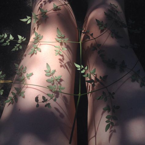 Mia 3, Poison Ivy, Gotham City, Greek Gods, Nature Aesthetic, Greek Mythology, Pretty Pictures, Aesthetic Pictures, We Heart It