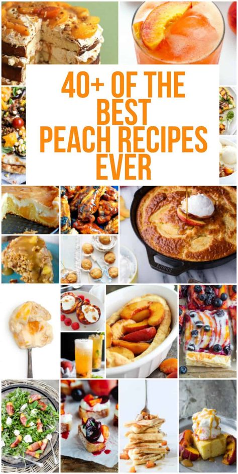 40+ Of The BEST Peach Recipes - Layers of Happiness Peach Snacks, Peach Picking, Fresh Peach Recipes, Cal Berkeley, Eat Beautiful, Peach Dessert Recipes, Fantastic Recipes, Peach Recipes, Peach Desserts