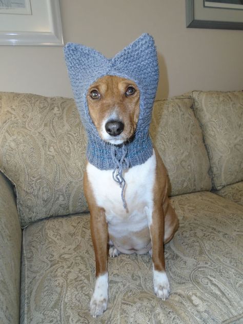 Dog Hat Knitting Pattern, Dog Snood Knitting Pattern, Dog Beanie Pattern, Dog Ear Warmer, Crochet Dog Hat Free Pattern, Snood Knitting Pattern, Crochet Dog Sweater Free Pattern, Crochet Dog Hat, Upcycle Crafts