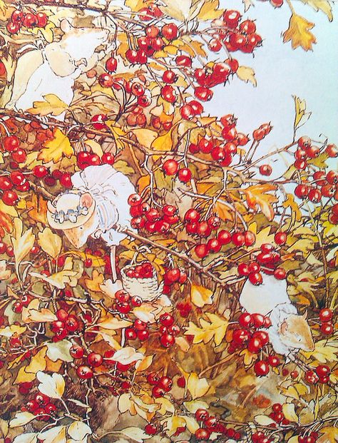 Autumn in Brambly Hedge. By Jill Barklem. Brambley Hedge, Jill Barklem, Brambly Hedge, Photo Sharing