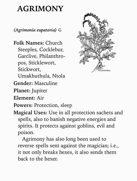 Agrimony Magical Properties, Protection Spells, Negative Energy, Alchemy, Witch