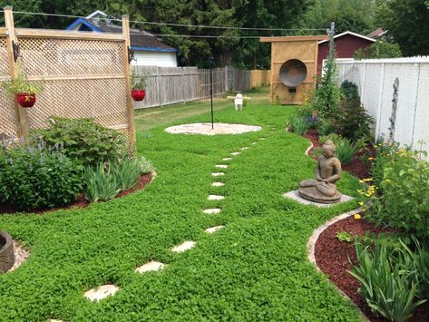 Clover Garden, Moss Lawn, Clover Lawn, Grass Alternative, Lawn Alternatives, Lawn Design, Backyard Garden Landscape, Grasses Landscaping, Low Maintenance Landscaping