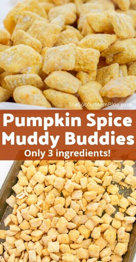 Crispy, crunchy pumpkin pie spice muddy buddies are the perfect fall party treat or lunchbox snack! Easy to make with only 3 simple ingredients! Pumpkin Pie Puppy Chow, Pumpkin Spice Puppy Chow Recipes, No Bake Pumpkin Snacks, Fall Trail Mix Ideas Nut Free, Pumpkin Puppy Chow, Pumpkin Spice Puppy Chow, Fall Flavors List, Pistachio Puppy Chow Chex Mix Recipe, Pumpkin Chex Mix Recipes