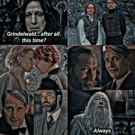 Albus Dumbledore Gellert Grindelwald, Arte Zombie, Uno Card, Gellert Grindelwald, Hp Harry Potter, Star Wars Characters Pictures, Images Harry Potter, Harry Potter Comics, Harry Potter Ships