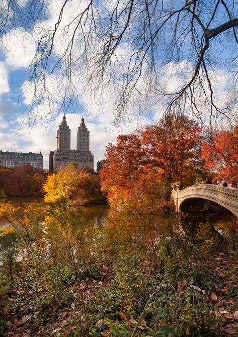 "Fall in Central Park, New York city photography print available as an instant digital download. Beautiful view of the iconic Bow Bridge and El Dorado building  in Upper West side. Affordable wall art to download instantly Printable art is the easiest and fastest way to decorate your space. You can print it at home, at your favorite print shop or upload to a printing service and have the prints delivered to your door!  ----------------------------------------------------------------------------- Central Park Bridge, Bow Bridge Central Park, Fall In Central Park, Central Park Fall, Skyline Photography, New York City Photography, Nyc Wall Art, Central Park New York City, Nyc Fall