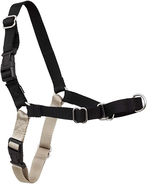 Diy Dog Costume, Dog Halter, Dog Tricks Easy, Best Dog Harness, Gentle Leader, Walk Dog, No Pull Dog Harness, Reflective Dog Harness, Dog Seat Belt