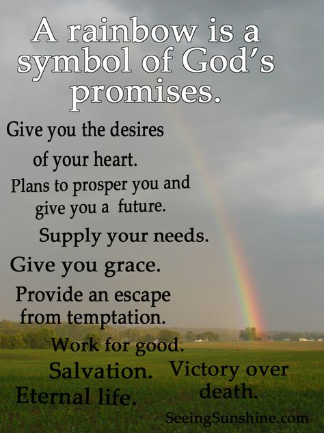 When you feel discouraged, look at the rainbow. It is a symbol of God's promises. // Seeing Sunshine Rainbow Is God's Promise, True Meaning Of The Rainbow, Rainbow Gods Promise Quotes, Hebrew Symbols, Provocative Quotes, Rainbow Quotes, Rainbow Promise, Promise Quotes, Remember God