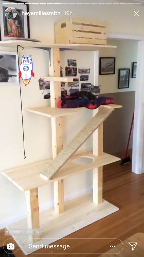 Tall Cat Tree Diy, Cat Tree Feeding Station, Cat Condo Diy How To Build, Wooden Cat Tower, Diy Cat Tree For Large Cats, Build Your Own Cat Tree, Diy Cat Tower Plans Tree Designs, Home Made Cat Tower, Fun Cat Tree