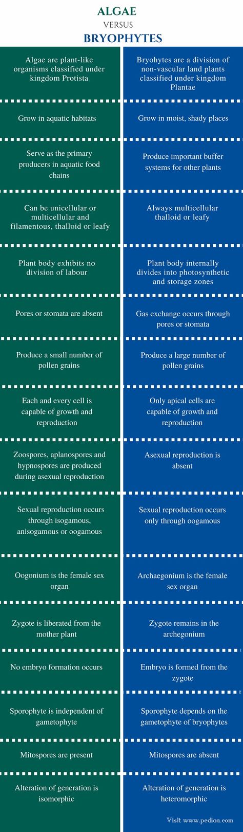 Bryophytes Notes, Algae Classification, Bodies Exhibit, Kingdom Plantae, Study Biology, Blue Green Algae, Leafy Plants, Medical School Essentials, Science Notes
