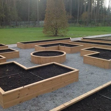 Once the bed is filled with soil, you can start planting. Arrange your plants or seeds according to their spacing needs. Water and Maintain:  Water your garden regularly, especially during dry spells. Add mulch to retain moisture and keep weeds down. Decorate (Optional):  Paint the pallets or add decorative elements to give your garden bed a personal touch. Hashtags: #DIYGarden #RaisedBedGardening #PalletProjects #EcoFriendlyGardening #UpcycledGarden Potager Garden, Backyard Vegetable Gardens, Veg Garden, Have Inspiration, Home Vegetable Garden, Outdoor Gardens Design, Garden Yard Ideas, Vegetable Garden Design, Backyard Garden Design