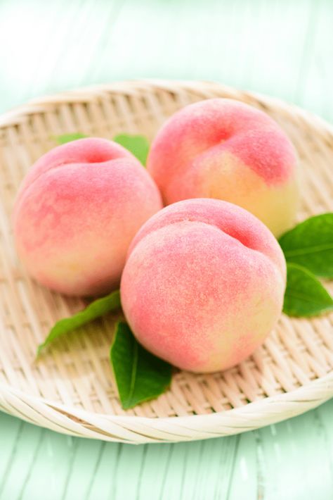 Japanese Peach, Peach Aesthetic, Peach Fruit, Fruit Photography, Fruit Plants, Fruit Garden, Nectarine, Delicious Fruit, Fruit And Veg