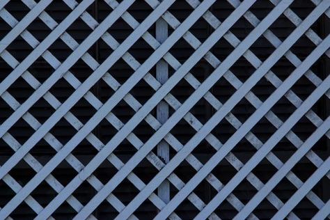 How to Attach Trellises to a Chain Link Fence for Privacy Lattice Privacy Fence, Fence Lattice, Diy Lattice, Chain Fence, Trellis Fence, Fence Toppers, Lattice Trellis, Privacy Plants, Rustic Fence