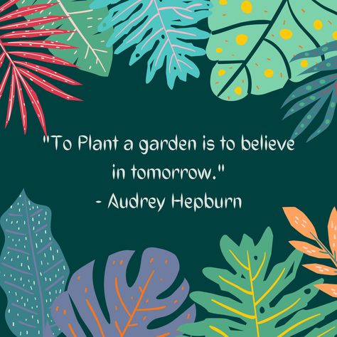 Plants Quotes Life Inspiration, Quotes About Plants, Go Green Quotes, 2024 Word, Plant Quotes, Vine Quote, Environmental Quotes, Better Quotes, Endangered Plants