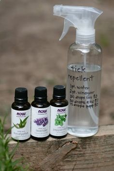 Tick Repellent: White Vinegar, Eucalyptus Oil, Lavender Oil, Peppermint Oil (Kornerstone Farms: Easy DIY Natural TICK Repellent TICKS) Natural Tick Repellent, Tick Spray, Tick Repellent, Insect Spray, Bug Repellent, Eucalyptus Oil, Peppermint Oil, Oil Uses, Essential Oil Uses