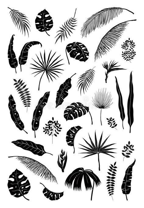 Silhouette palm leaves. Black jungle plants, summer foliage isolated elements exotic floral branches. Vector monstera. Plant silhouettes set vector illustration Jungle Tattoo, Jungle Plants, Scandinavian Poster, Amazon Jungle, Branch Vector, Theme Tattoo, Plant Vector, Image Svg, Floral Branch