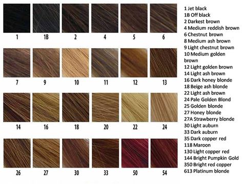 Revlon Hair Color Chart, Jazzing Hair Color, Dark Chocolate Hair Color, Blonde Hair Color Chart, Brown Hair Color Chart, Hair Color Brown Chestnut, Colors Chart, Dark Chocolate Hair, Hair Color Guide