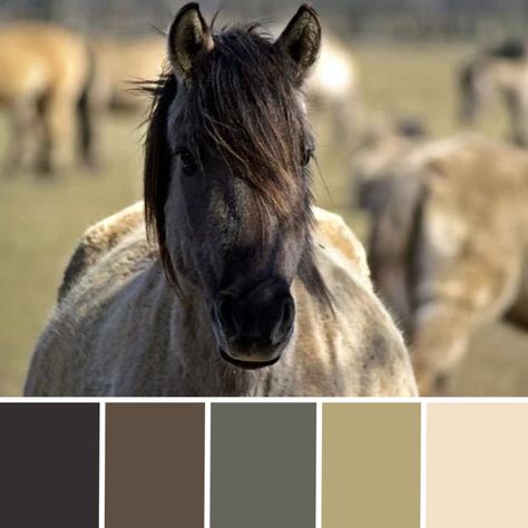 #neutral #western #palette #color #colorpalettes #horses #colortrends Infographic Color Palette, Western Palette, Palette Color, Neutral Palette, Old West, Color Trends, Color Scheme, Bedroom Ideas, Contrasting Colors