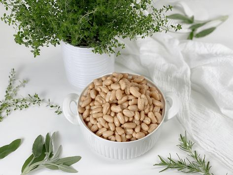 White Beans | Soaked, Instant Pot | Stove Top | AmieSue.com White Beans Instant Pot, Beans Instant Pot, Virtual Friend, How To Soak Beans, Northern Beans, How To Cook Beans, Great Northern Beans, Help Digestion, Whole Food Diet