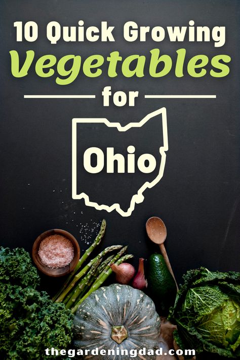 Learn 10 Quick Growing Vegetables for Ohio with this ultimate guide to growing vegetable gardens. You'll learn about the 10 best vegetables for your garden in Ohio. #ohio #vegetablegarden #gardening Ohio Vegetable Garden Plan, Ohio Gardening Vegetables, Ohio Vegetable Garden, Northeast Ohio Gardening, Gardening In Ohio, Ohio Homesteading, Summer Marshall, Ohio Gardening, Art Creative Ideas