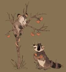 Raccoon And Opossum Art, Opossum Wallpaper Iphone, Possum Wallpaper Iphone, Possum Pfp, Possum Pictures, Opossum Wallpaper, Possum Wallpaper, Opossum And Raccoon, Raccoon And Possum