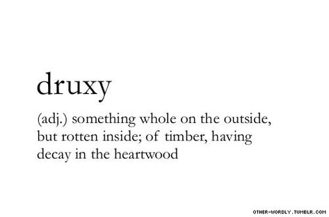 druxy Unique Words Definitions, Uncommon Words, Fancy Words, Beauty People, Evil People, Weird Words, Unusual Words, Rare Words, Big Words